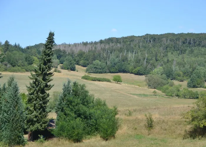 Apartment Kellerwald